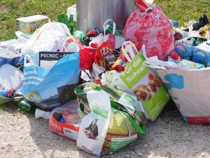 Ekologické balenie: Analýza používania plastov na viedenských trhoch s potravinami